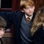 Cercasi Harry Ron e Hermione il cast per il remake di Harry Potter sara inclusivo