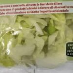 Listeria in insalata iceberg in busta richiamati lotti di 19 marchi