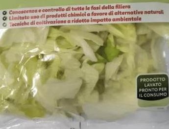 Listeria in insalata iceberg in busta richiamati lotti di 19 marchi