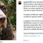 Morte del cane Ricky a Roma e giallo si cercano immagini telecamere