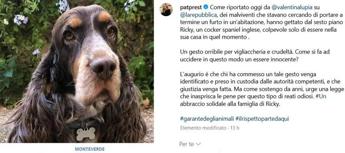 Morte del cane Ricky a Roma e giallo si cercano immagini telecamere