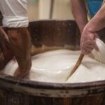 Napoli capitale della mozzarella di bufala con il 1° congresso internazionale