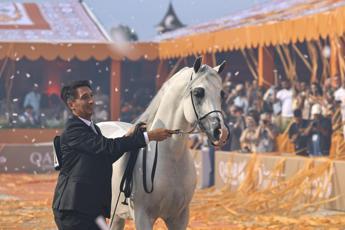 Roma confermato il Global Champions Arabians Tour al Circo Massimo