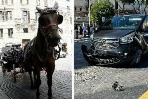 Roma scontro tra auto e botticella in centro ferito il cavallo