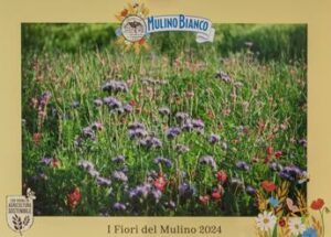 Sostenibilita concorso I Fiori del Mulino premio ai campi fioriti piu belli