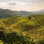 Unesco Airbnb e Associazione Patrimonio Colline del Prosecco patto per promuovere il sito