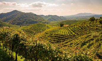 Unesco Airbnb e Associazione Patrimonio Colline del Prosecco patto per promuovere il sito