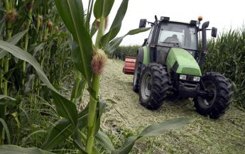 Emilia Romagna ricerca Adnkronos per Di Gregorio Male sicurezza bene occupazione