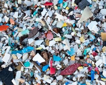 Microplastiche anche nel cervello pari a un terzo di bottiglia