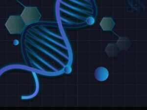 Prima mappa del cervello adulto svelata la rete di neuroni e sinapsi