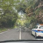 Roma alberi caduti bloccano via Portuense residenti prigionieri