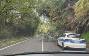 Roma alberi caduti bloccano via Portuense residenti prigionieri