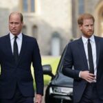 William torna a parlare di Harry il ricordo con la madre Diana in nuovo documentario