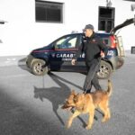 carabinieri con cane 1 150x150 BMMAMe