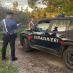 carabinieri san gavino coltivazione droga 2 150x150 aAmKZC