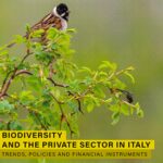 Rapporto Etifor tutela della biodiversita e una responsabilita condivisa