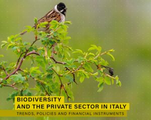 Rapporto Etifor tutela della biodiversita e una responsabilita condivisa