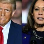 Trump minaccia democrazia lappello Nyt per voto a Harris